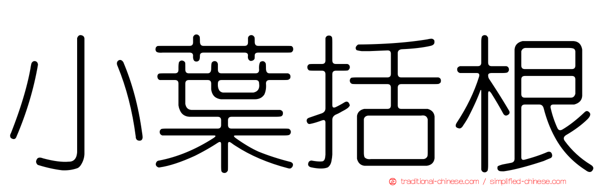 小葉括根