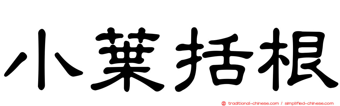 小葉括根