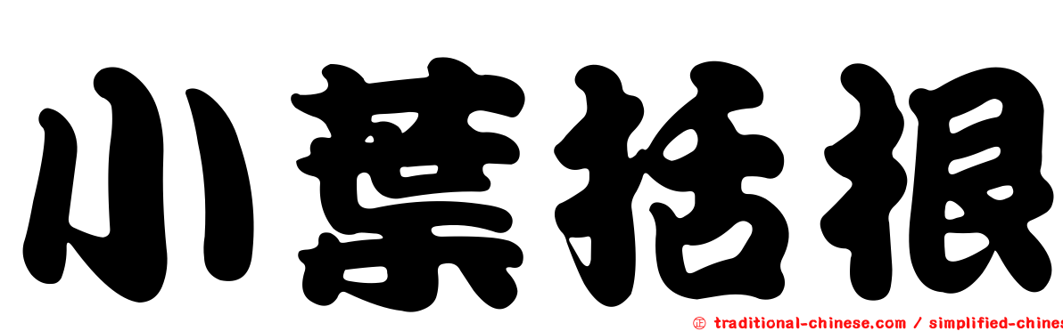 小葉括根
