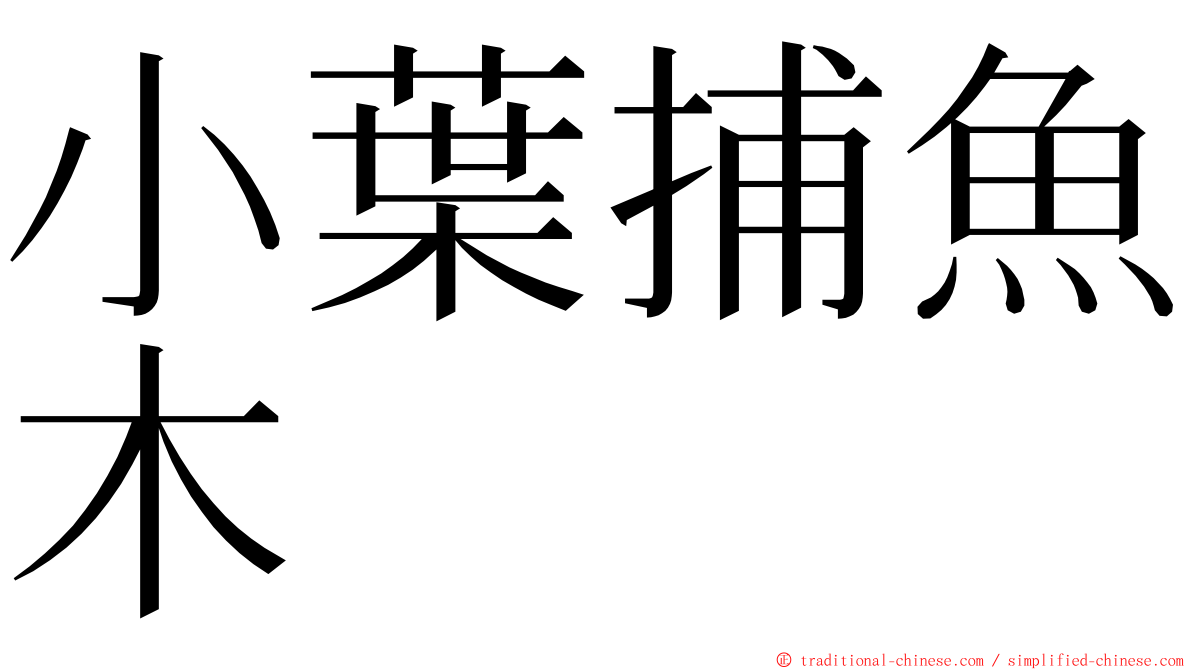 小葉捕魚木 ming font