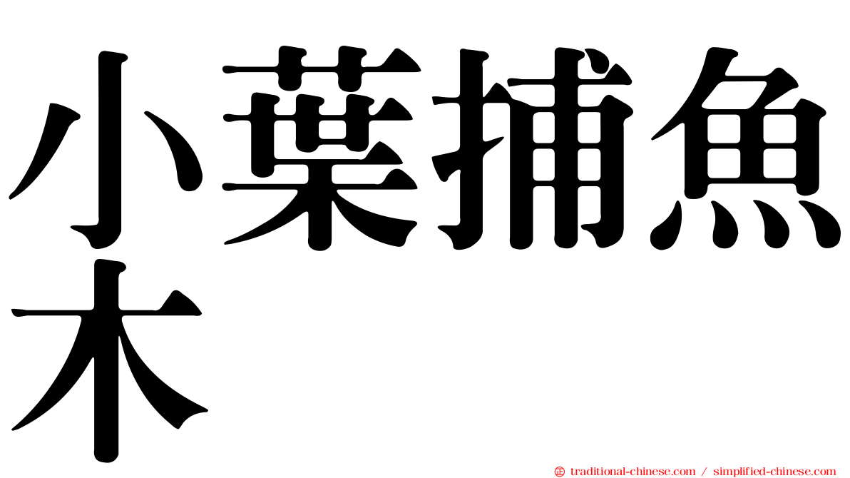 小葉捕魚木