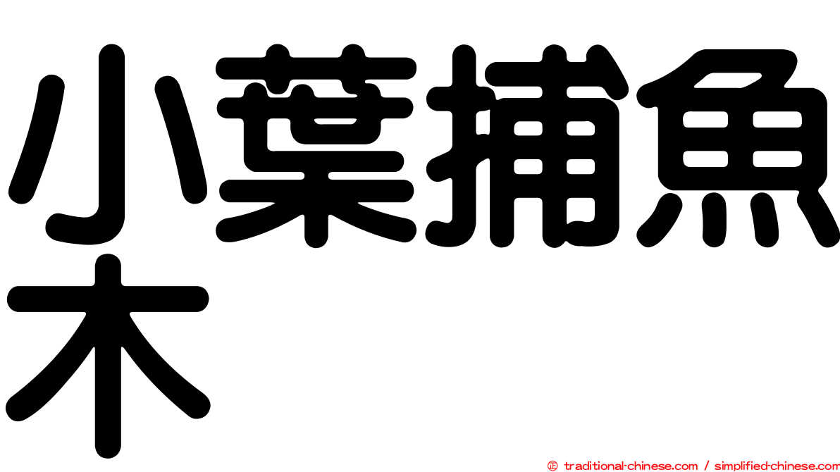 小葉捕魚木