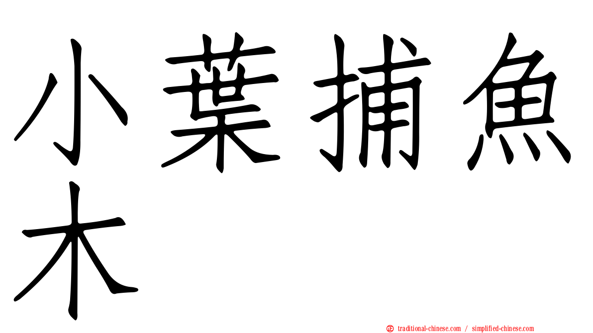 小葉捕魚木