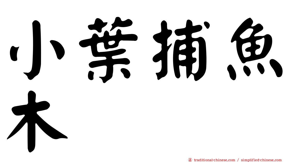 小葉捕魚木