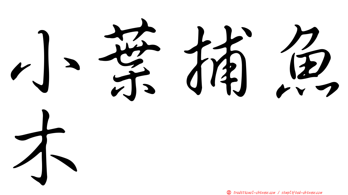 小葉捕魚木