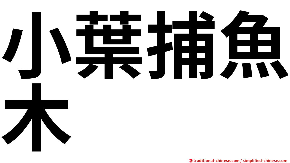 小葉捕魚木