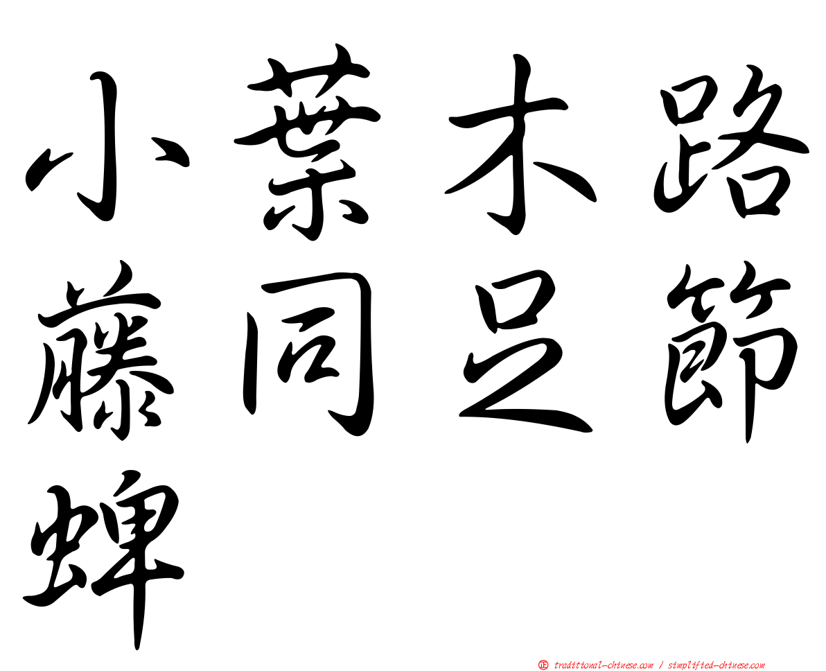 小葉木路藤同足節蜱