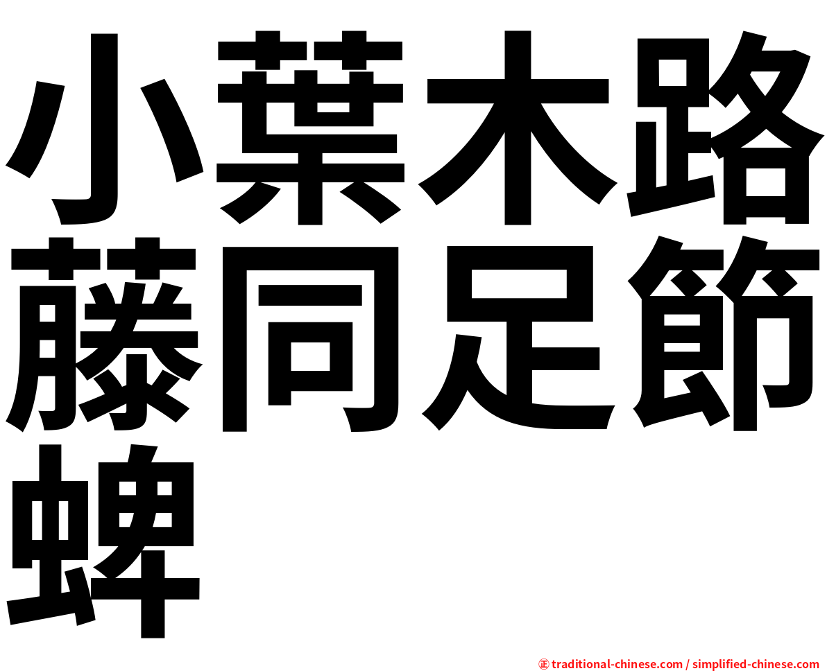 小葉木路藤同足節蜱