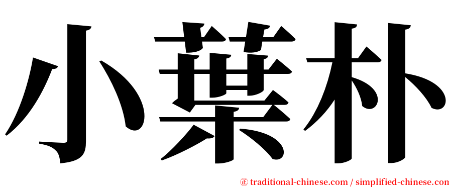 小葉朴 serif font