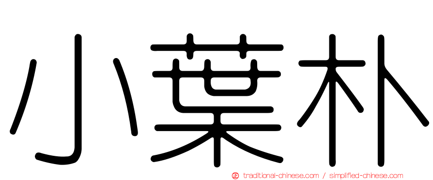 小葉朴