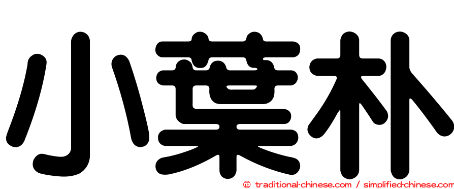 小葉朴