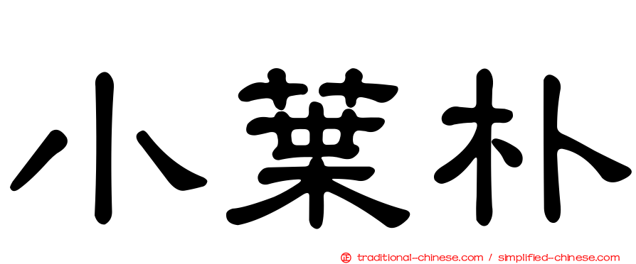 小葉朴