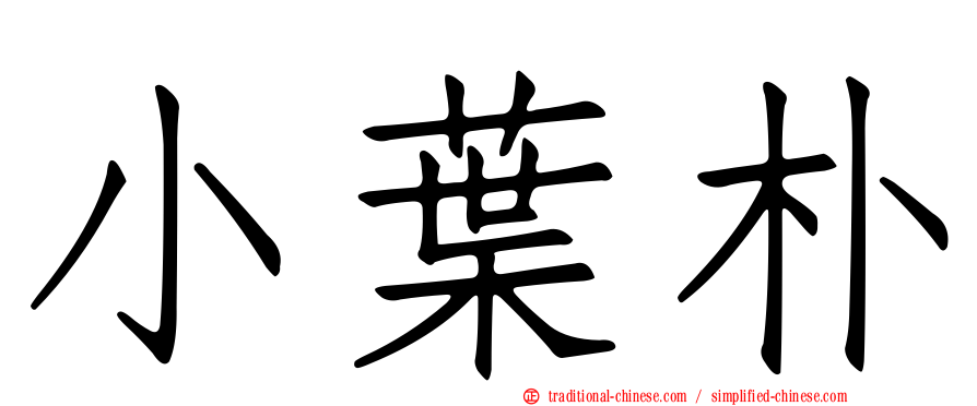 小葉朴