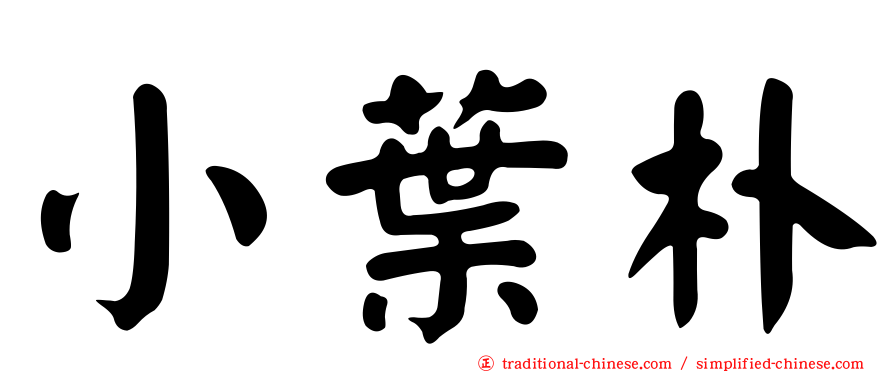 小葉朴
