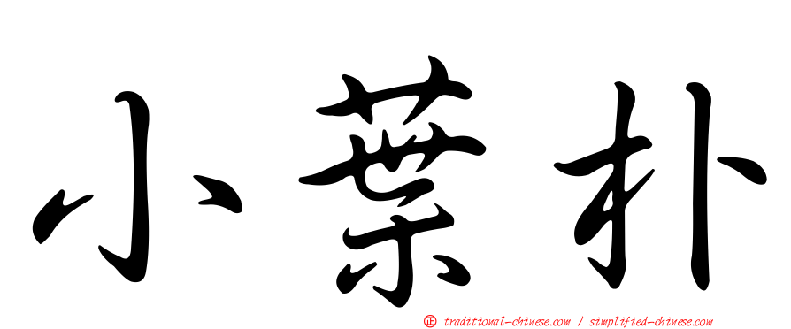 小葉朴