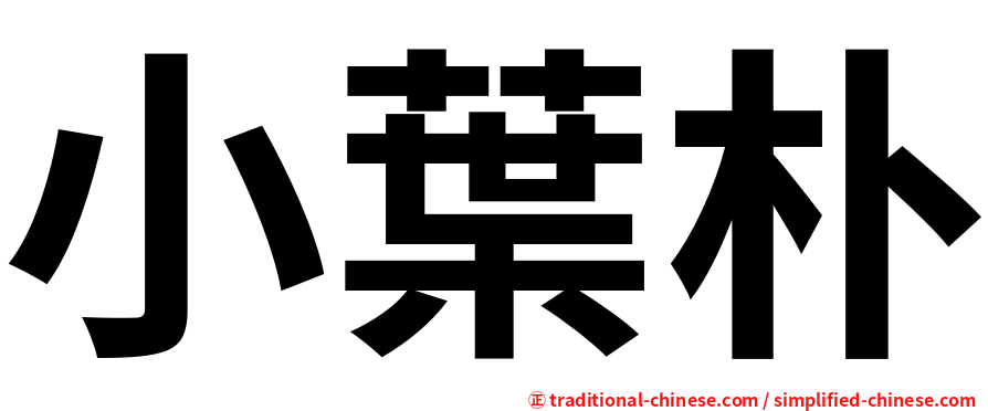 小葉朴