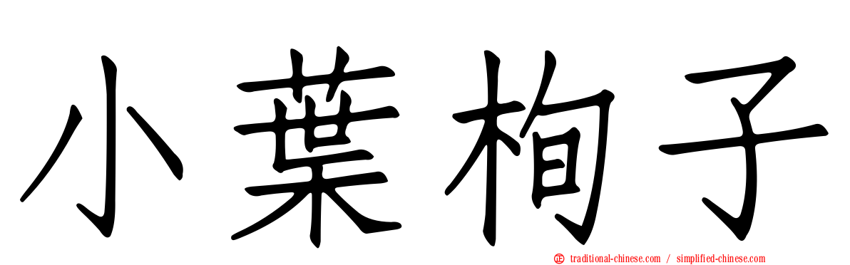 小葉栒子