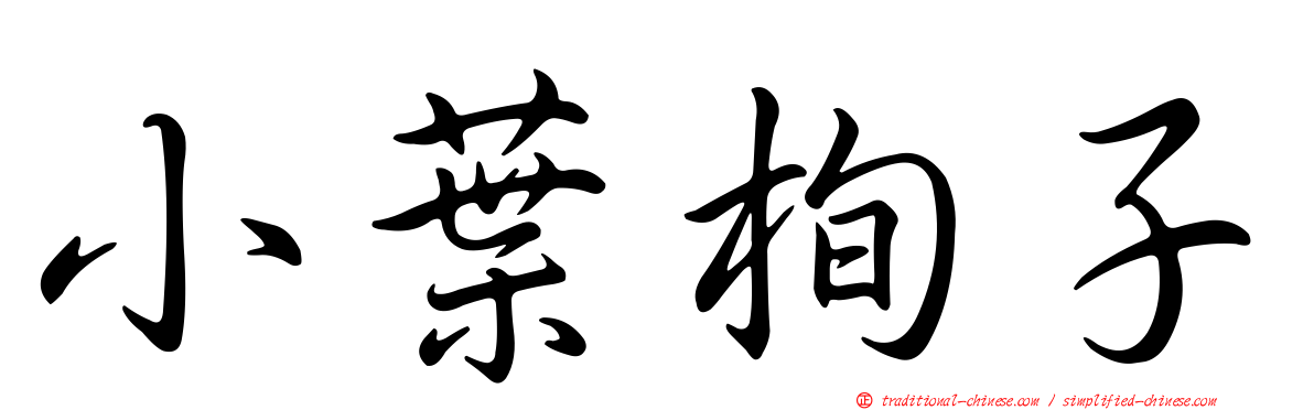 小葉栒子