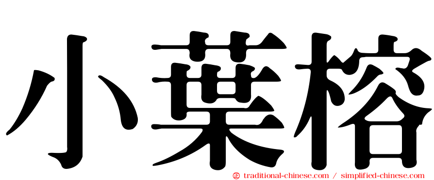 小葉榕