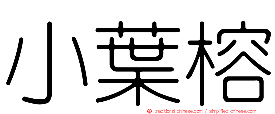 小葉榕
