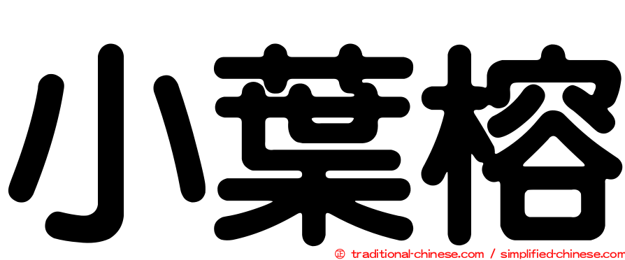小葉榕