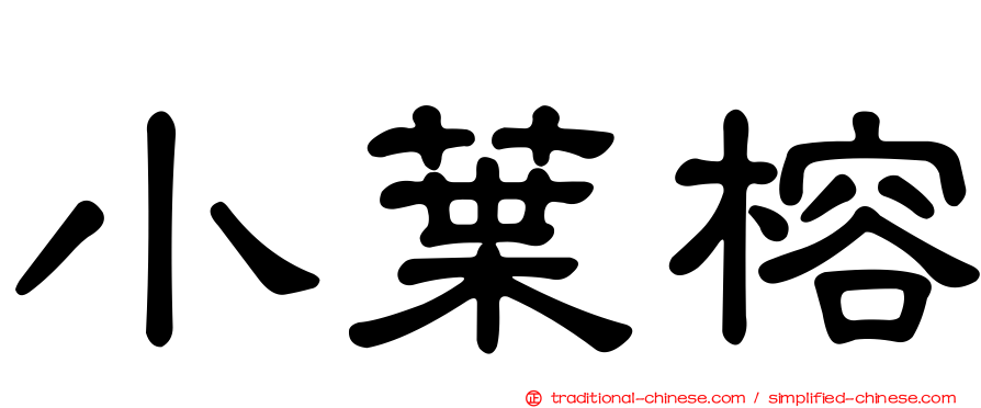 小葉榕