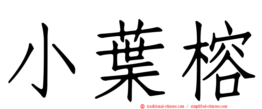 小葉榕