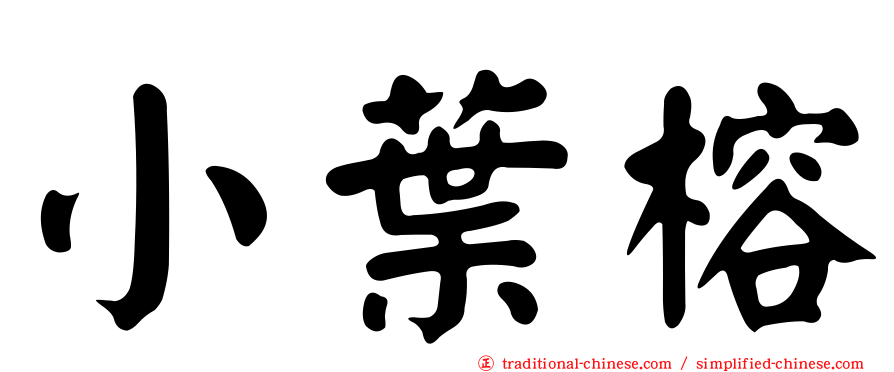 小葉榕