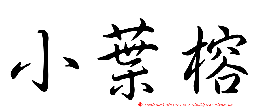 小葉榕
