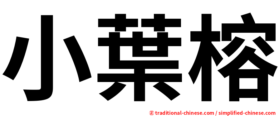 小葉榕