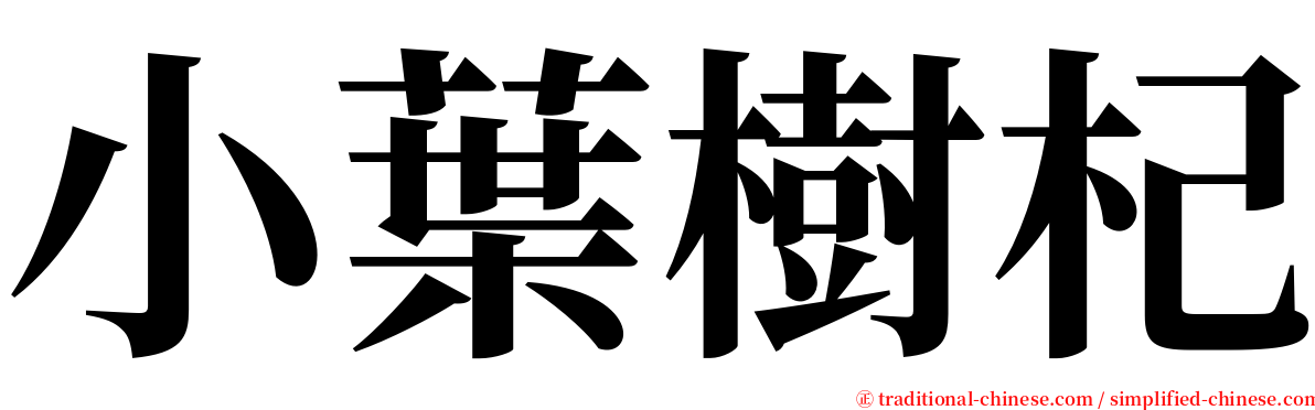 小葉樹杞 serif font