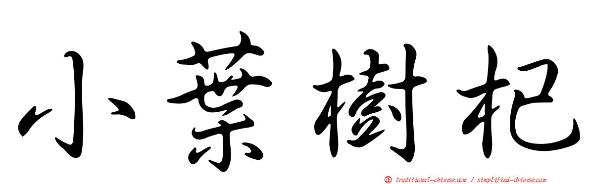 小葉樹杞