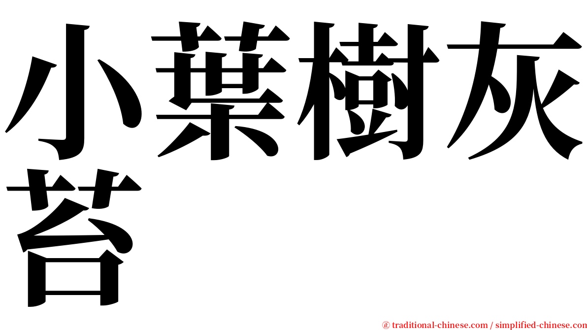 小葉樹灰苔 serif font