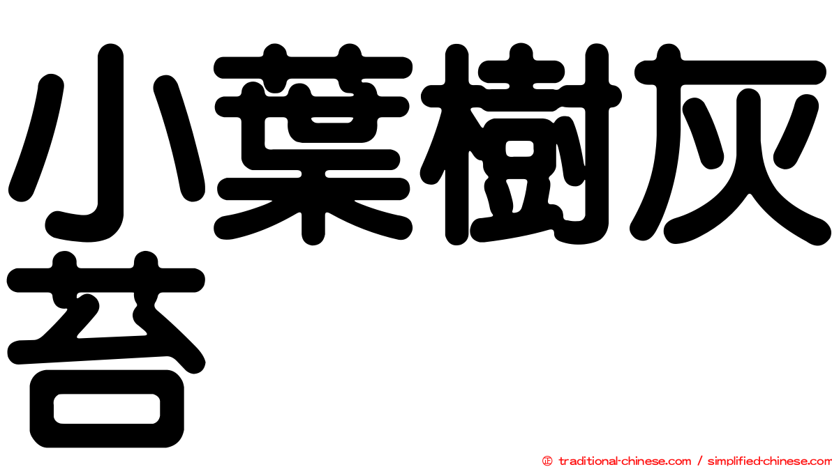 小葉樹灰苔