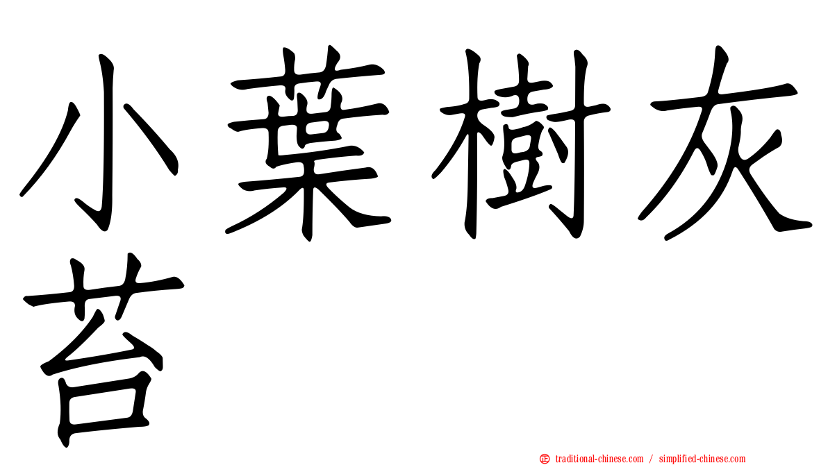 小葉樹灰苔