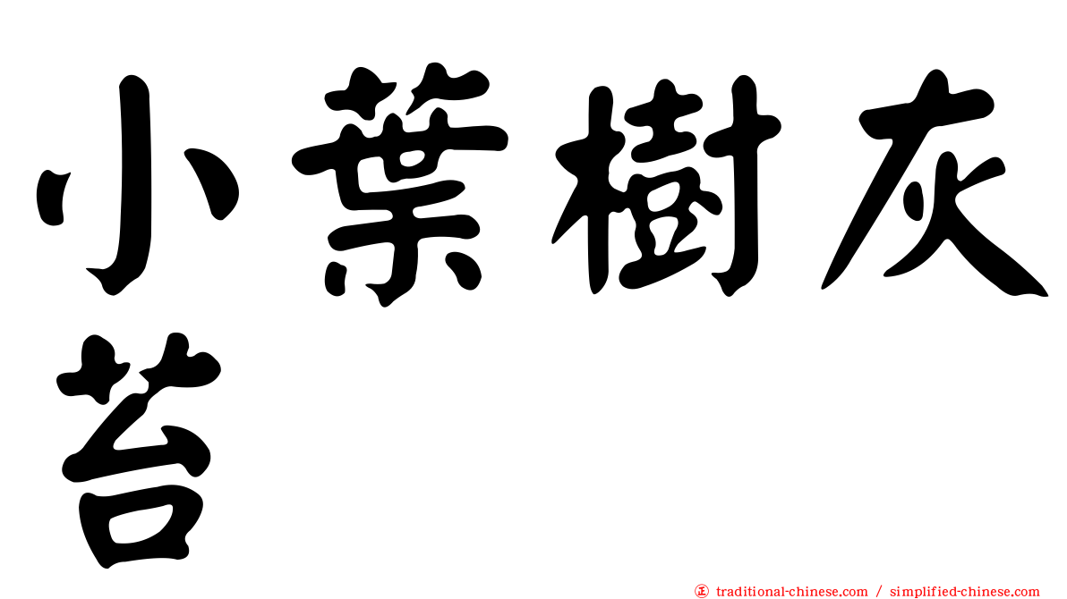 小葉樹灰苔