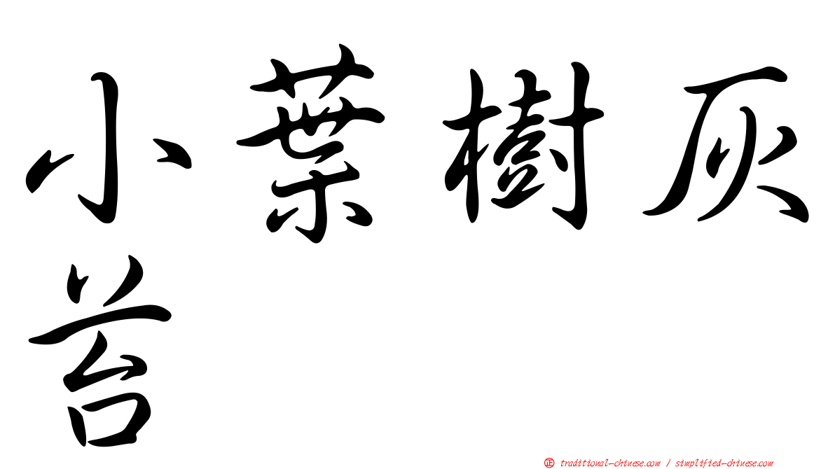 小葉樹灰苔