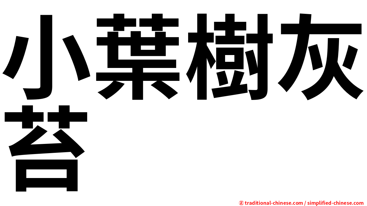 小葉樹灰苔