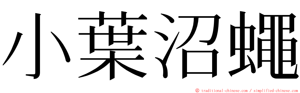小葉沼蠅 ming font
