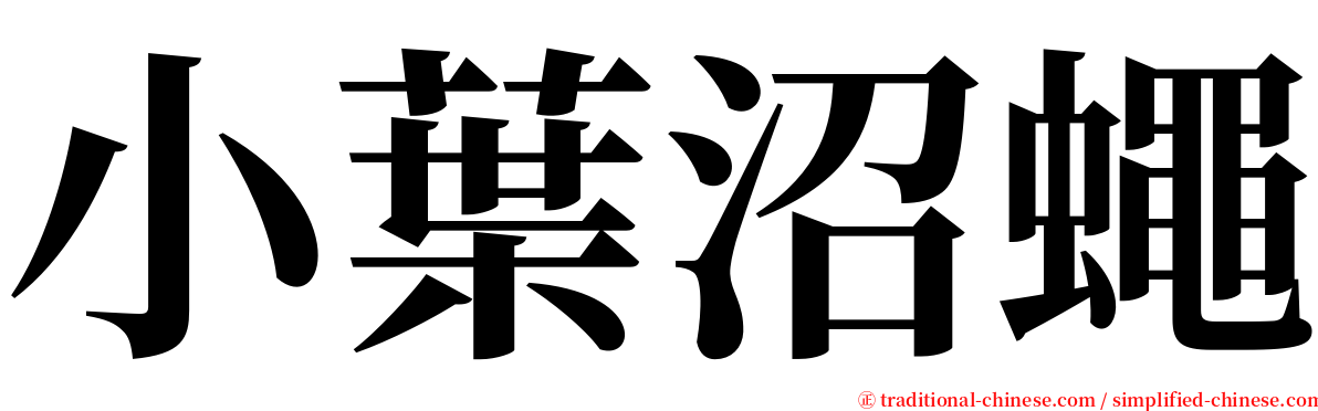 小葉沼蠅 serif font