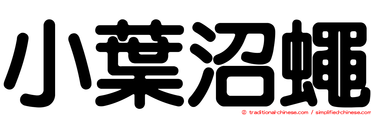小葉沼蠅