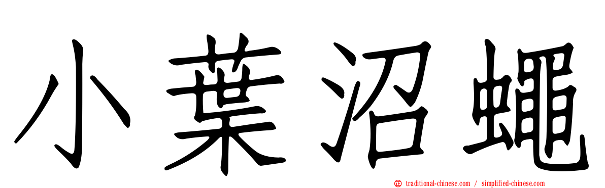 小葉沼蠅