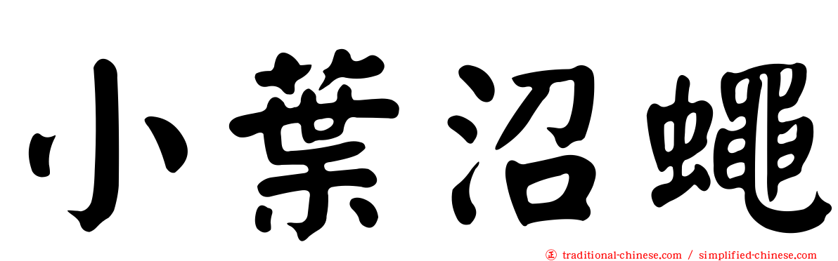 小葉沼蠅