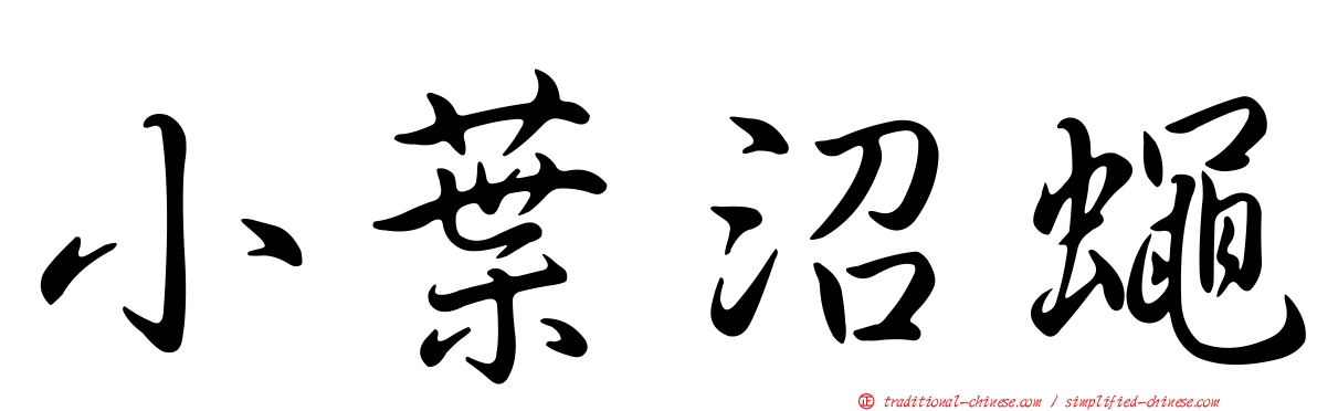 小葉沼蠅