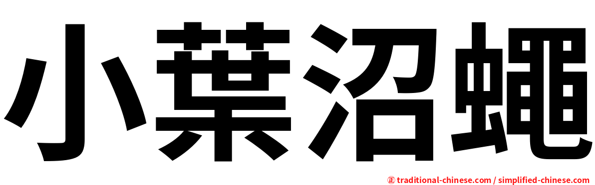 小葉沼蠅