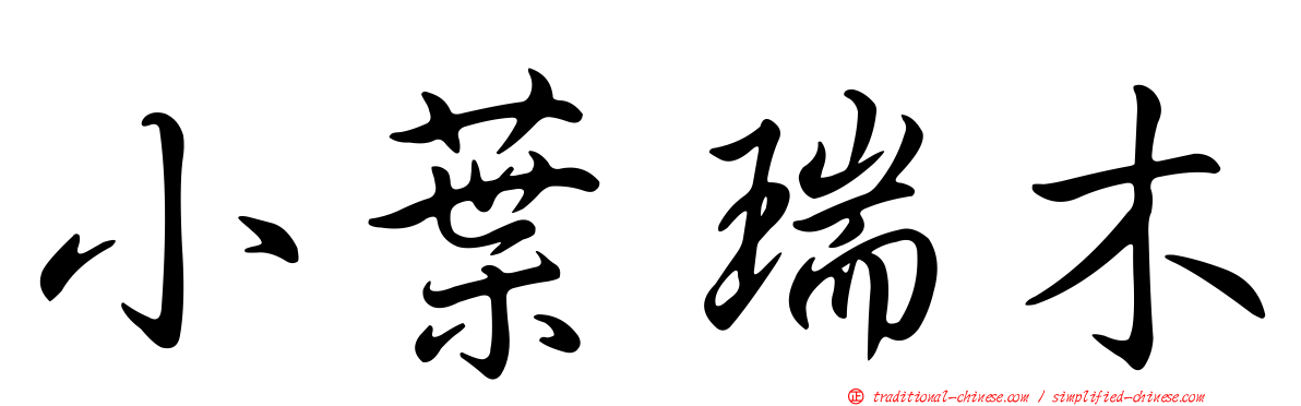 小葉瑞木