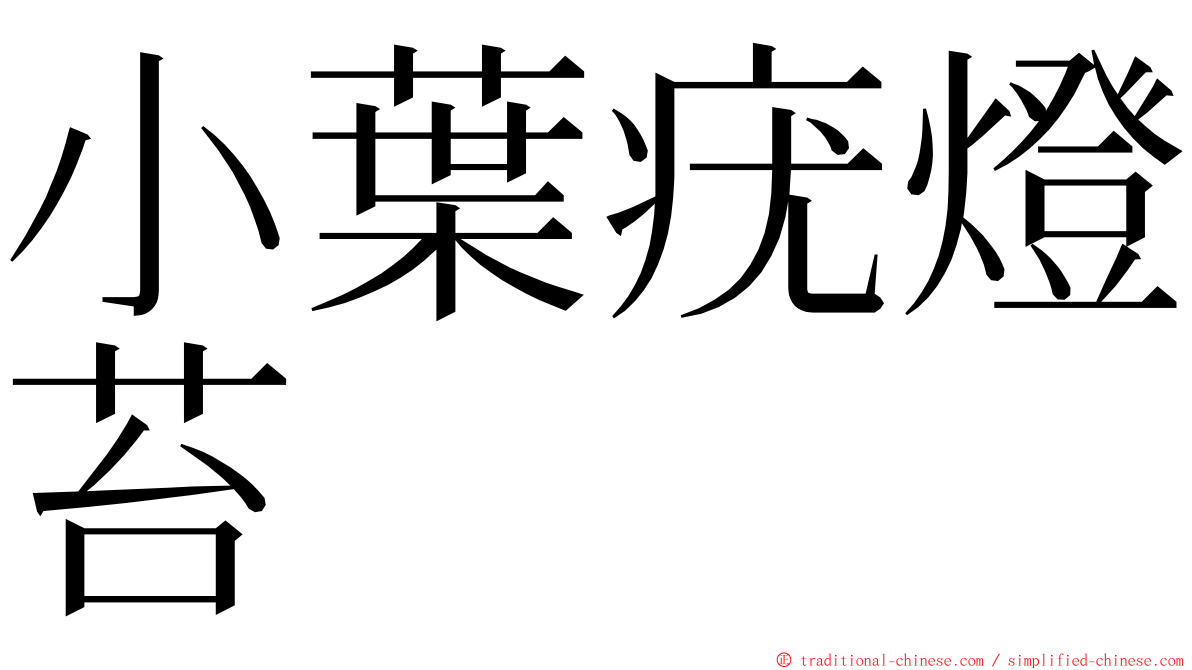 小葉疣燈苔 ming font