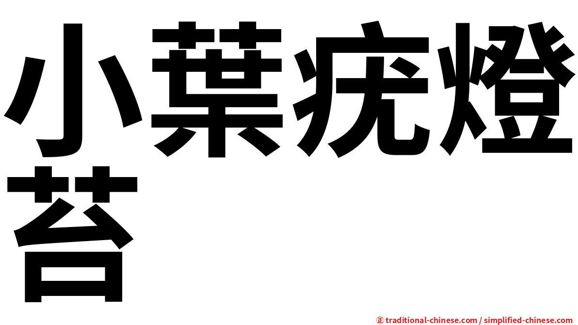 小葉疣燈苔