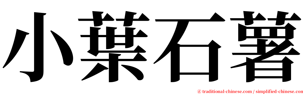 小葉石薯 serif font