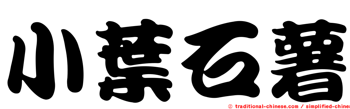 小葉石薯